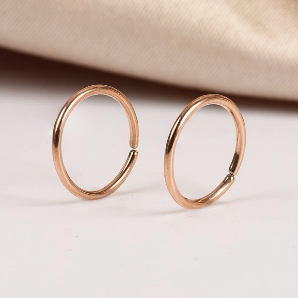 2 Nose Ring Hoops